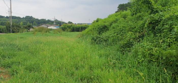 경상북도 경산시 자인면 원당리 425-1 전 경매 사진 12