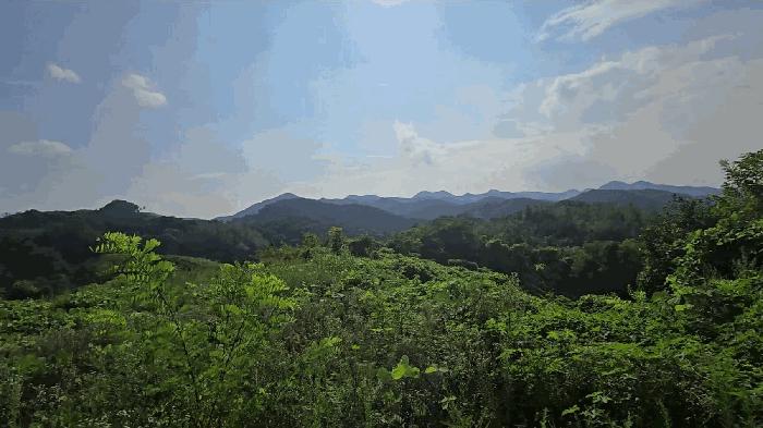 충청북도 제천시 청풍면 단리 107-1 전 경매 사진 6