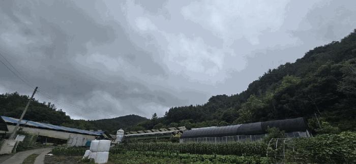 충청북도 제천시 백운면 덕동리 산154-1 임야 경매 사진 1