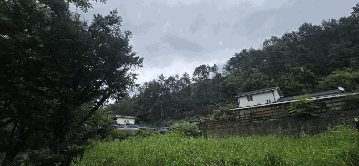 충청북도 제천시 백운면 덕동리 산154-1 임야 경매 사진 3