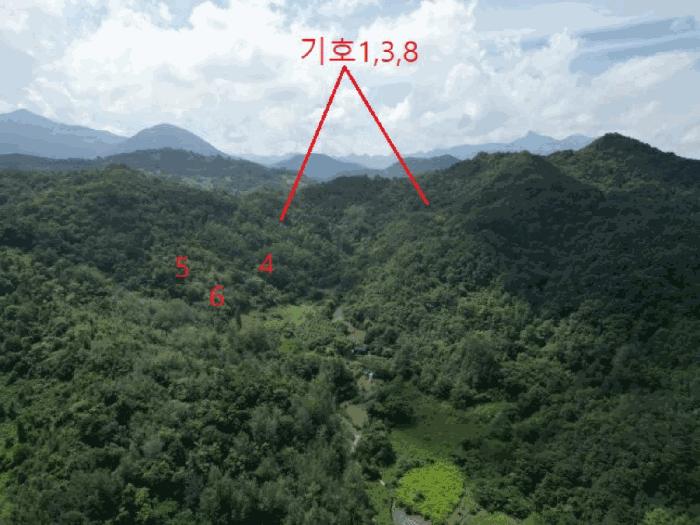 충청북도 제천시 임야