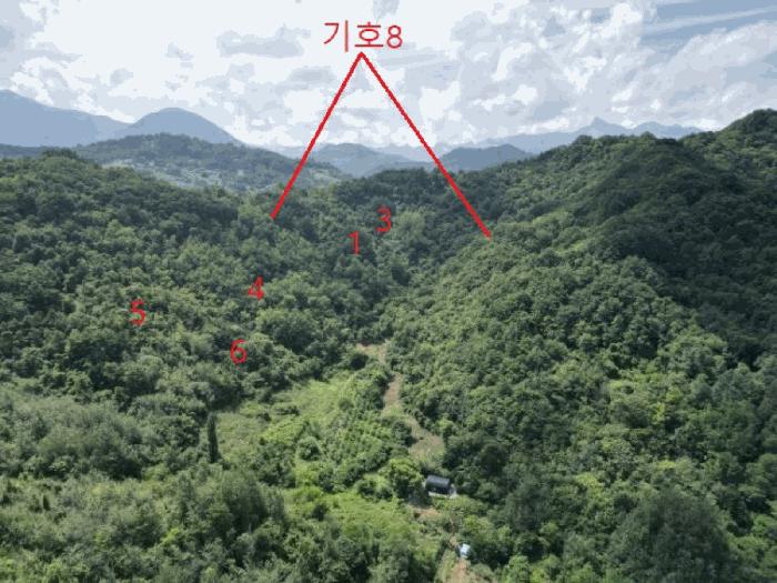 충청북도 제천시 수산면 내리 산29-2 임야 경매 사진 3