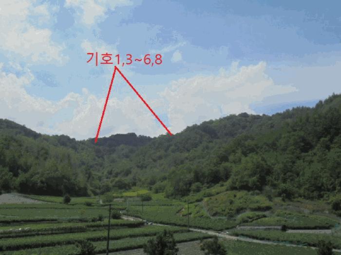 충청북도 제천시 수산면 내리 산29-2 임야 경매 사진 5