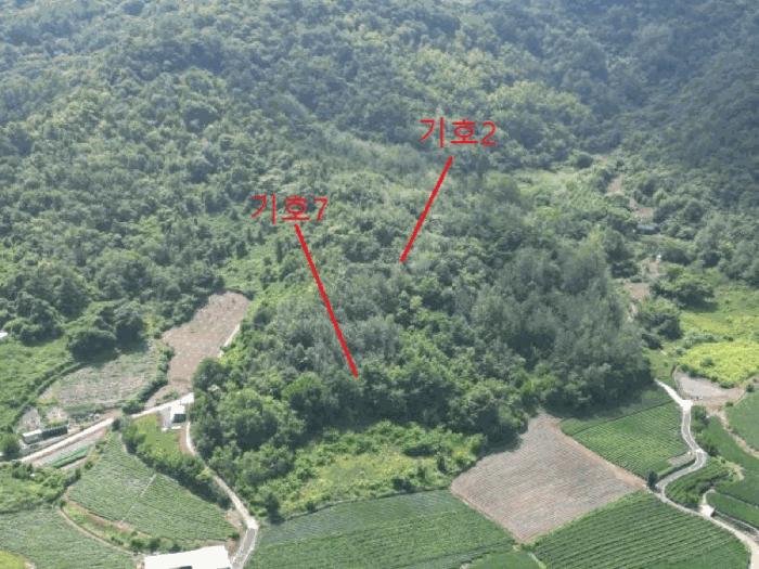충청북도 제천시 수산면 내리 산29-2 임야 경매 사진 7