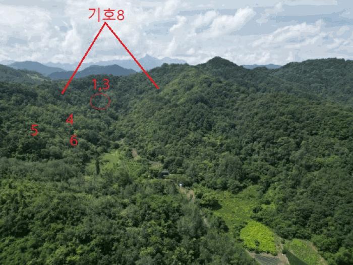 충청북도 제천시 수산면 내리 산29-2 임야 경매 사진 8