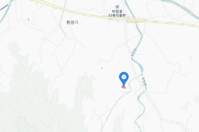 세종특별자치시 금남면 영대리 595-2 대지 경매 사진 19