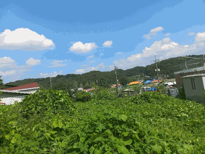 세종특별자치시 금남면 영대리 595-2 대지 경매 사진 8
