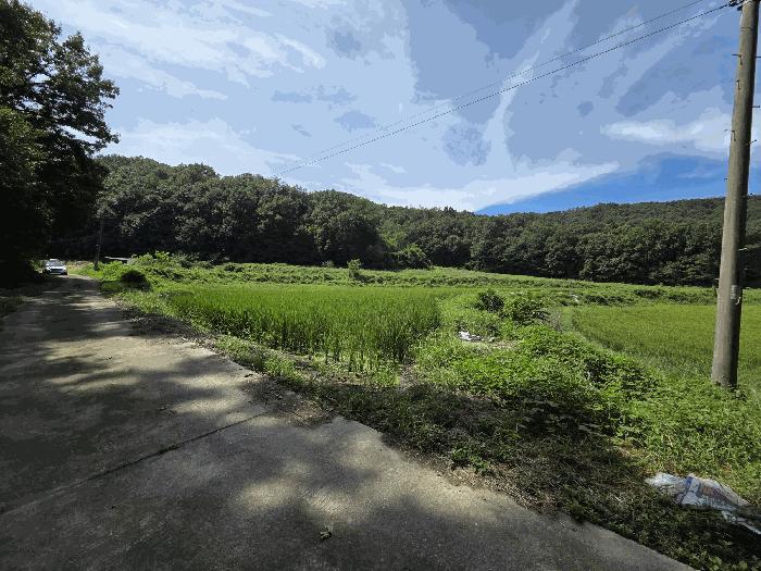 충청남도 천안시 서북구 입장면 시장리 277 답 경매 사진 1