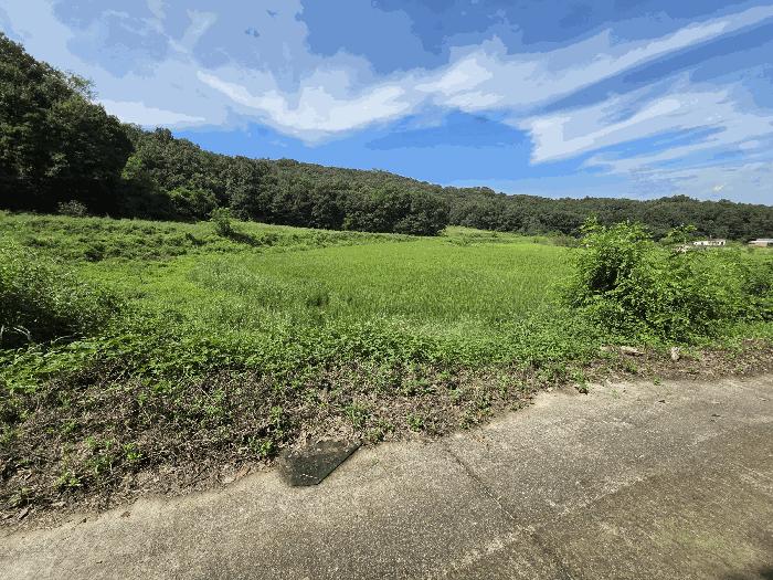 충청남도 천안시 서북구 입장면 시장리 277 답 경매 사진 2
