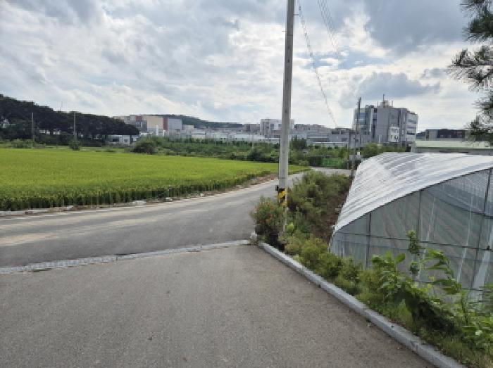 세종 연동면 대지