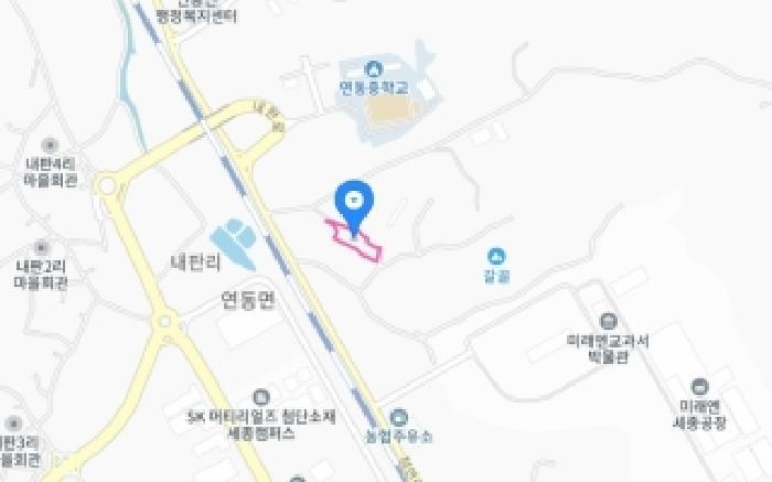 세종특별자치시 연동면 내판리 116 대지 경매 사진 11