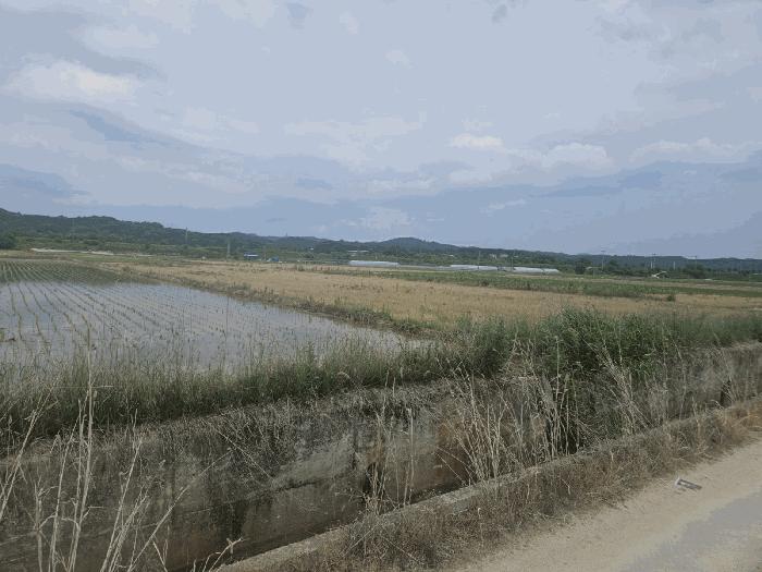 경상북도 영주시 구성로142번길 20, 203동 16층1602호 (휴천동,남산현대아파트)구) 경상북도 영주시 휴천동 1777 아파트 경매 사진 8