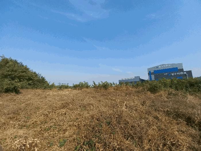 충청남도 천안시 서북구 성환읍 성월리 214-2 과수원 경매 사진 10