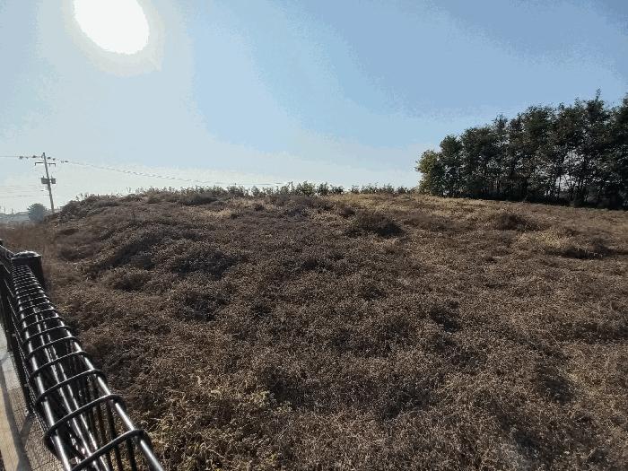 충청남도 천안시 서북구 성환읍 성월리 214-2 과수원 경매 사진 3