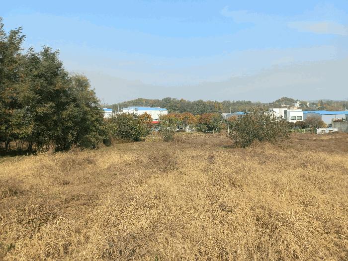 충청남도 천안시 서북구 성환읍 성월리 214-2 과수원 경매 사진 7