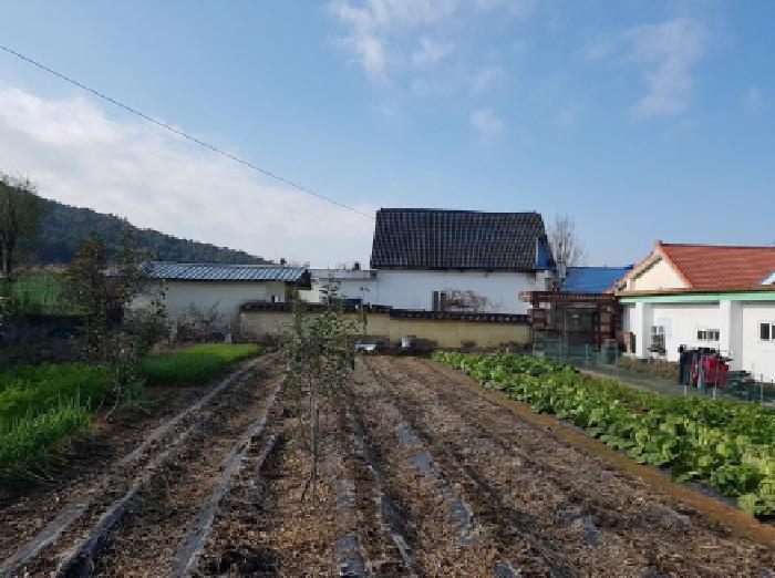 충청남도 천안시 동남구 병천면 탑원리 117-2 대지 경매 사진 8