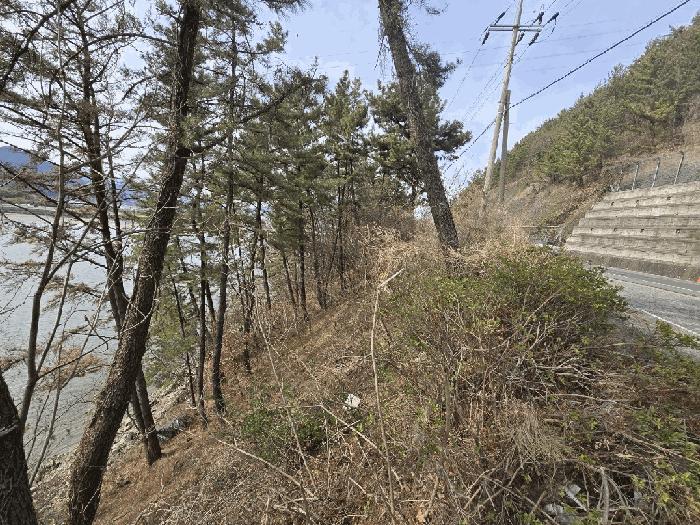경상남도 하동군 하동읍 목도리 283-2 임야 경매 사진 6