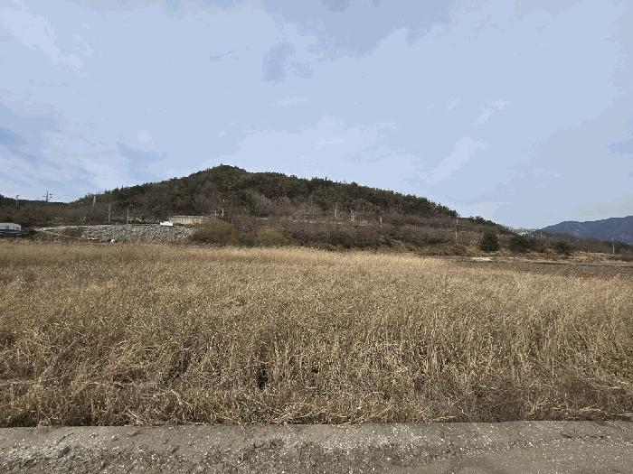 경상남도 하동군 하동읍 목도리 283-2 임야 경매 사진 7