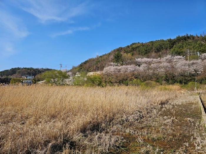 경상남도 하동군 하동읍 목도리 283-2 임야 경매 사진 8