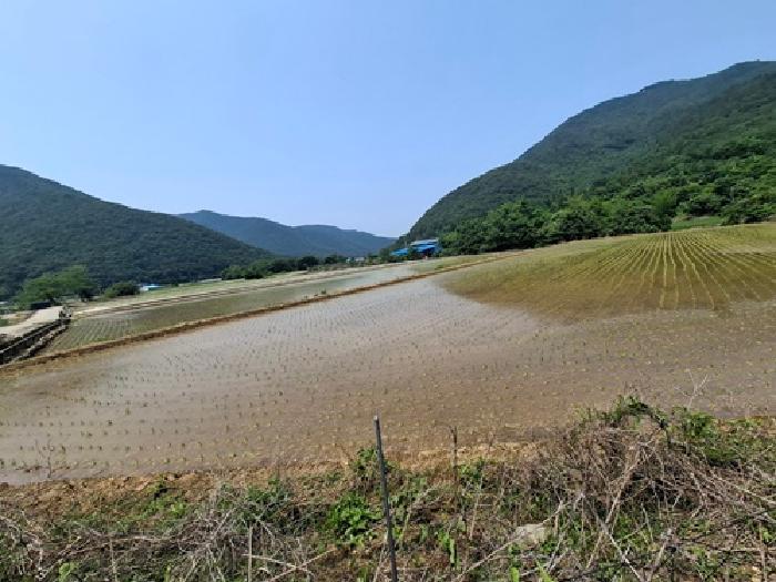 경상남도 남해군 삼동면 봉화리 2539 답 경매 사진 5
