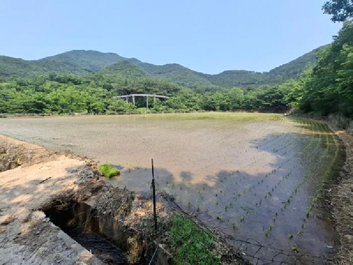 경상남도 남해군 삼동면 봉화리 2542 답 경매 사진 6