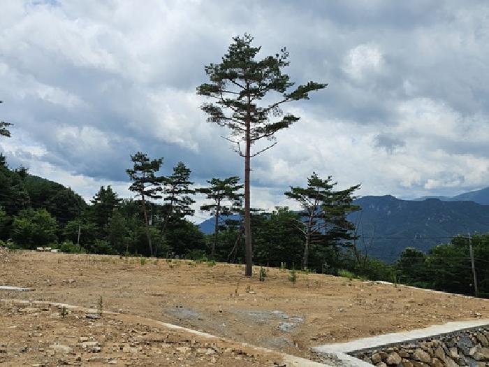 경상남도 산청군 신안면 외송리 산15-33 임야 경매 사진 17