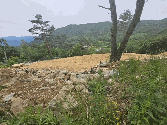 경상남도 산청군 신안면 외송리 산15-33 임야 경매 사진 4