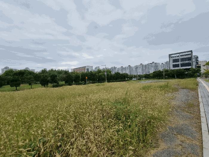전북특별자치도 군산시 미장동 501-1 대지 경매 사진 1