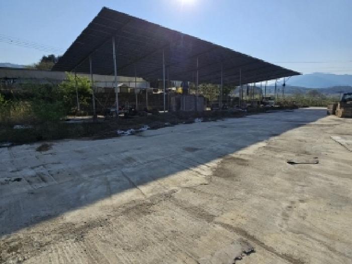 경상북도 봉화군 춘양면 도심리 321 답 경매 사진 13