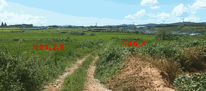 전북특별자치도 익산시 황등면 구자리 196-3 답 경매 사진 5