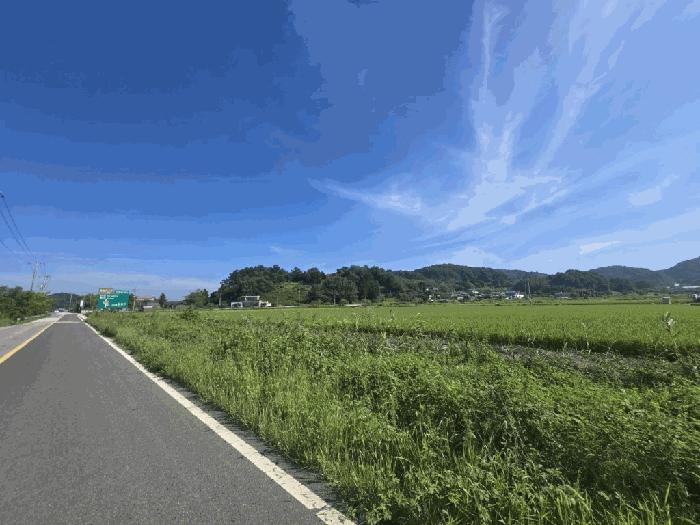 전북 군산시 임야