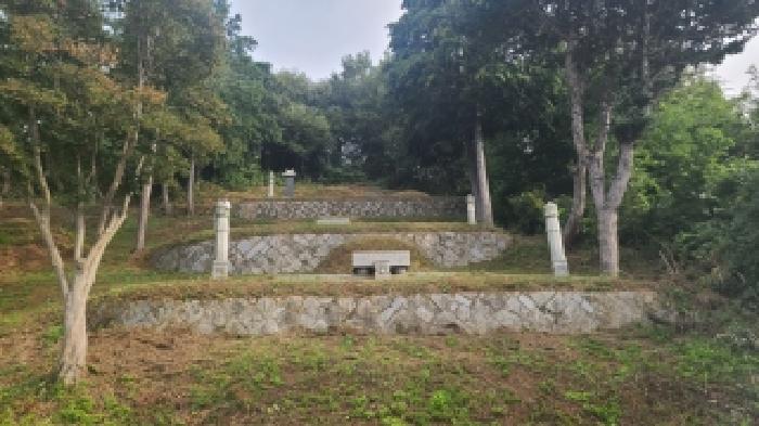 전북특별자치도 군산시 나포면 나포리 산102-1 임야 경매 사진 10