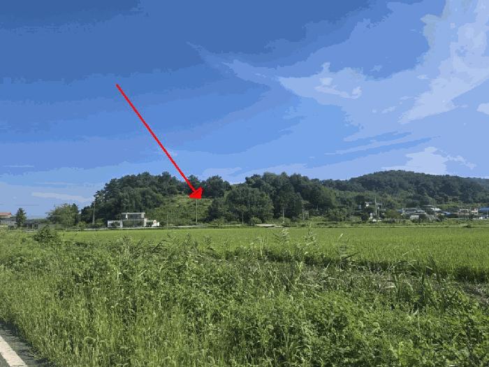 전북특별자치도 군산시 나포면 나포리 산102-1 임야 경매 사진 3