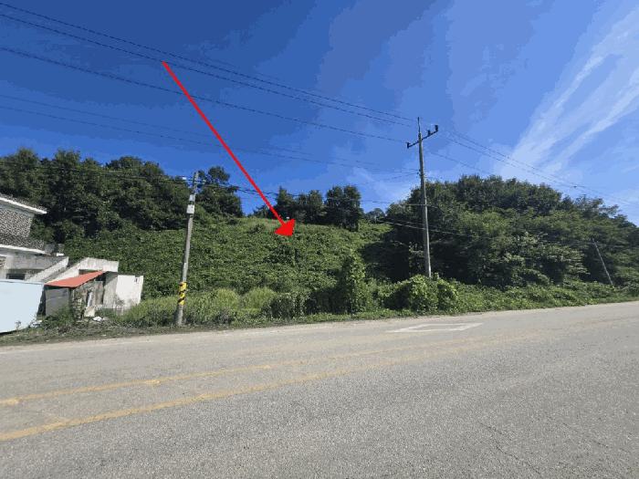 전북특별자치도 군산시 나포면 나포리 산102-1 임야 경매 사진 4