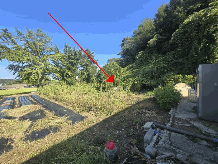 전북특별자치도 군산시 나포면 나포리 산102-1 임야 경매 사진 5