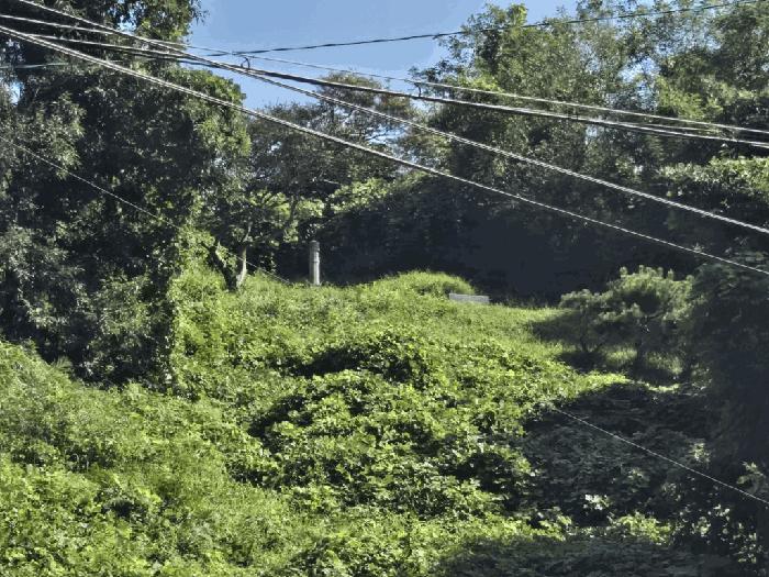 전북특별자치도 군산시 나포면 나포리 산102-1 임야 경매 사진 7