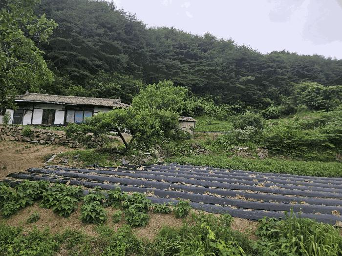 경상북도 봉화군 법전면 눌산리 1064 대지 경매 사진 1