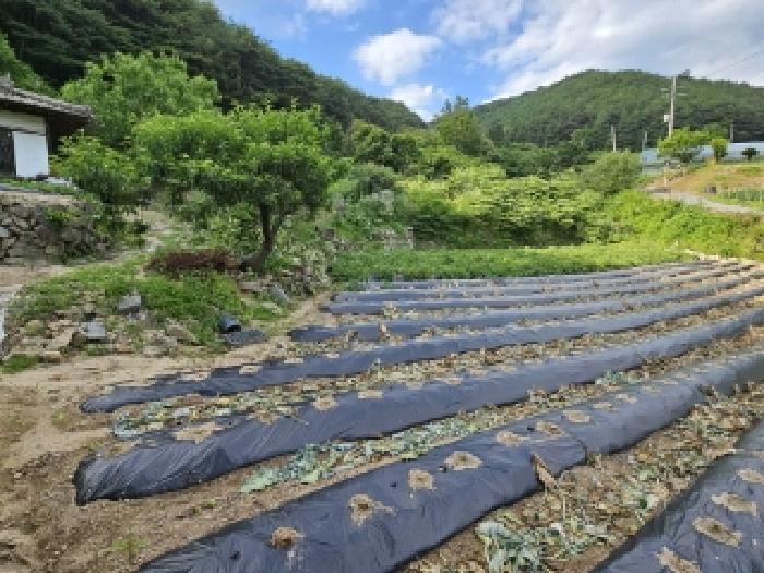 경상북도 봉화군 법전면 눌산리 1064 대지 경매 사진 9