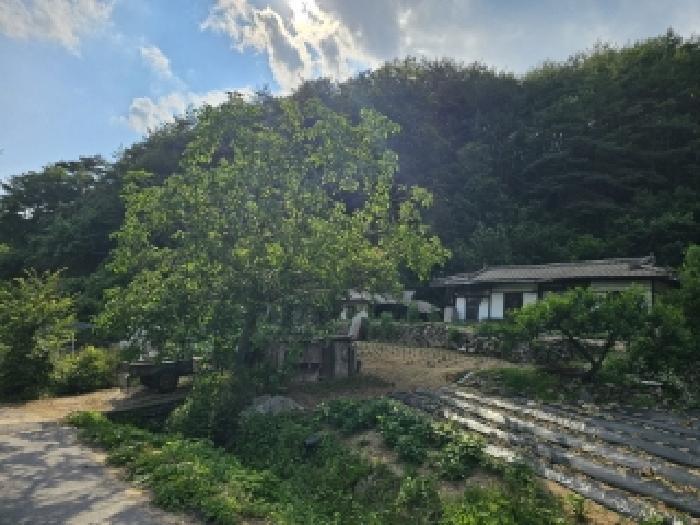 경상북도 봉화군 법전면 눌산리 1065 전 경매 사진 10