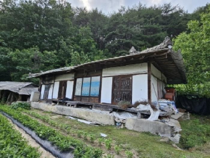 경상북도 봉화군 법전면 눌산리 1065 전 경매 사진 13