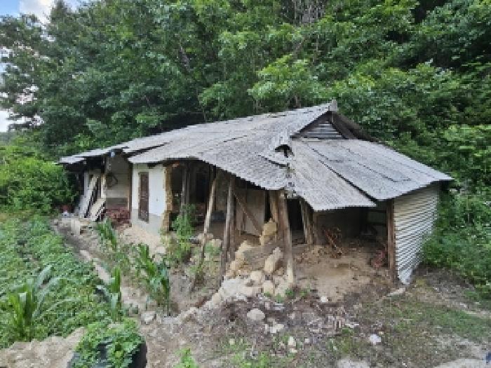 경상북도 봉화군 법전면 눌산리 1065 전 경매 사진 14