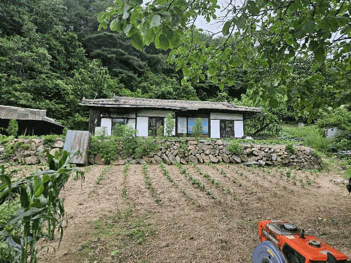 경상북도 봉화군 법전면 눌산리 1065 전 경매 사진 2