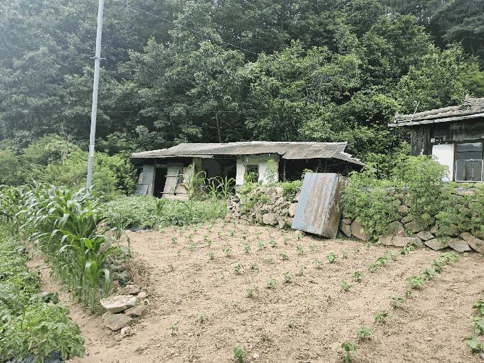 경상북도 봉화군 법전면 눌산리 1065 전 경매 사진 3