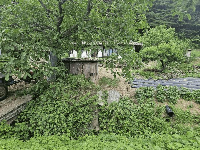 경상북도 봉화군 법전면 눌산리 1065 전 경매 사진 4