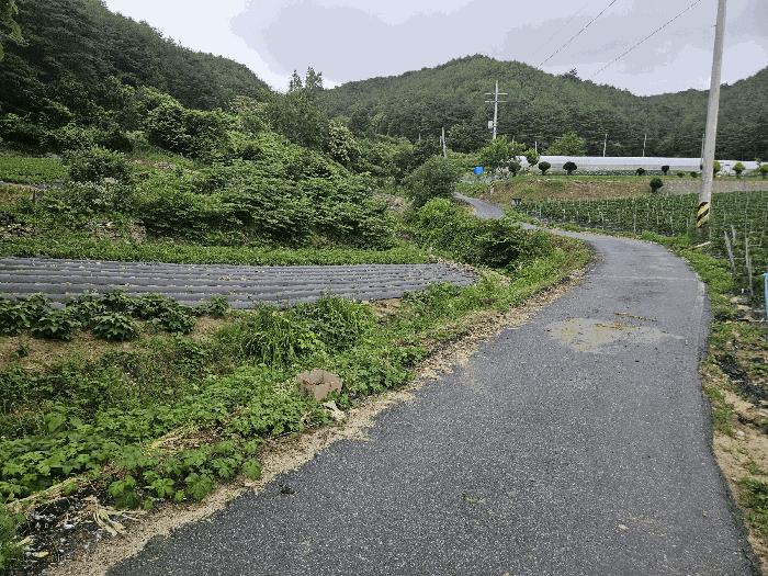경상북도 봉화군 법전면 눌산리 1065 전 경매 사진 5