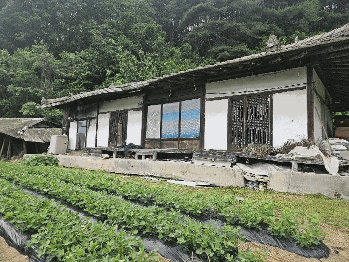 경상북도 봉화군 법전면 눌산리 1065 전 경매 사진 6