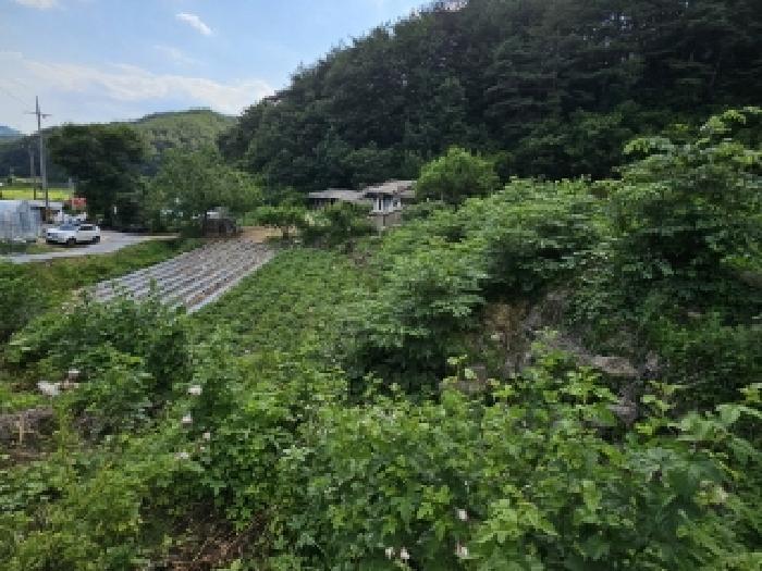 경상북도 봉화군 법전면 눌산리 1065 전 경매 사진 8