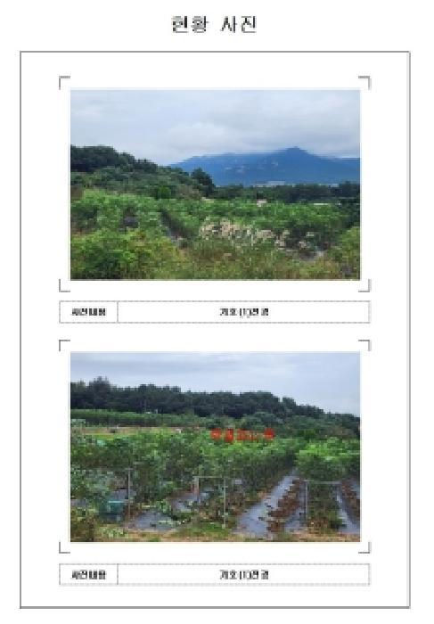 전라남도 영암군 서호면 화송리 658-2 전 경매 사진 7