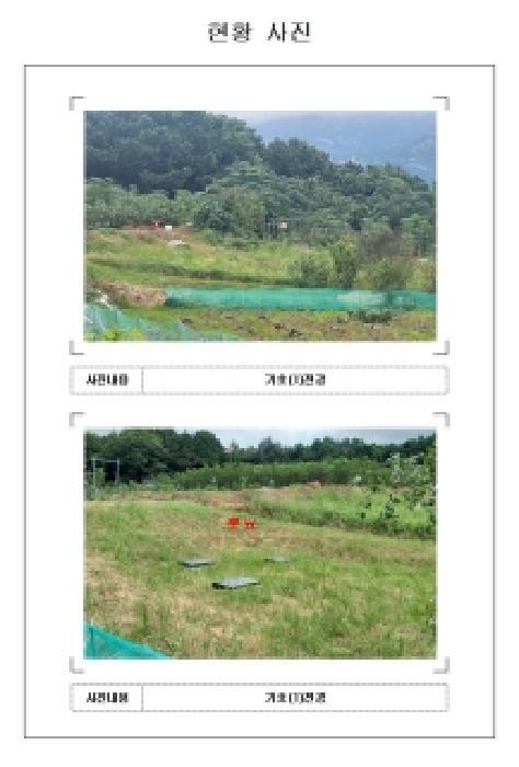 전라남도 영암군 서호면 화송리 658-2 전 경매 사진 9
