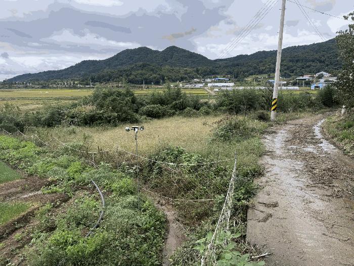 전라남도 함평군 대동면 월송리 560-2 전 경매 사진 3